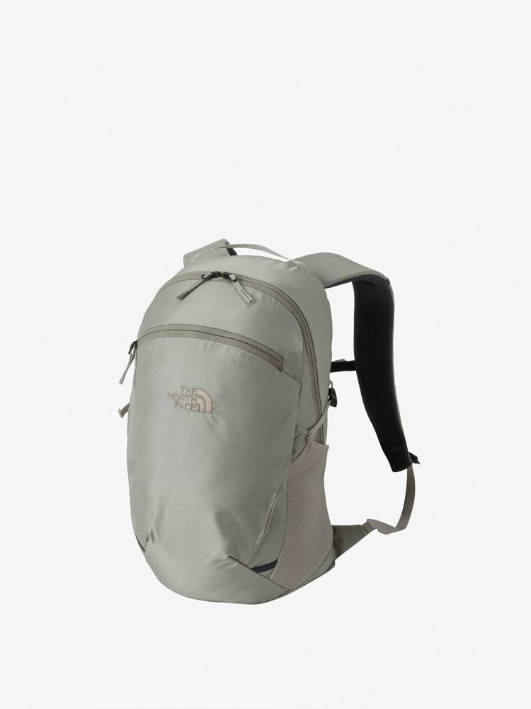 TNF adult backpack series (directly shipped from Japan) and other brands
