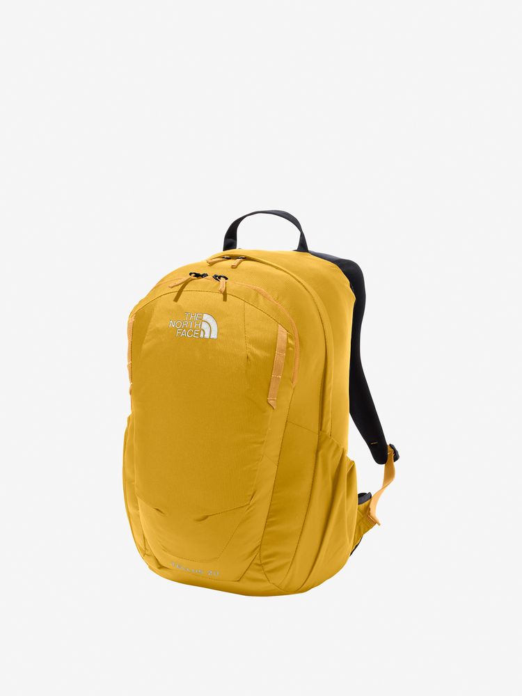 TNF Backpack 20L (Direct from Japan) Kids' Bag Series Other Brands