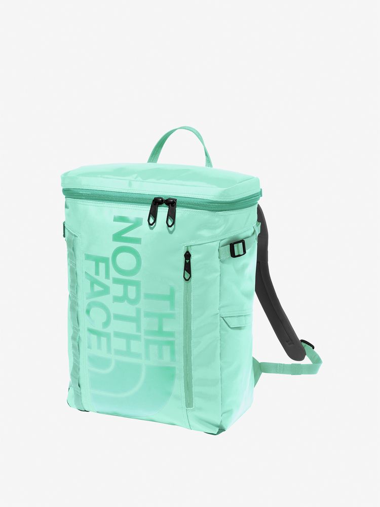 TNF adult backpack series (directly shipped from Japan) and other brands