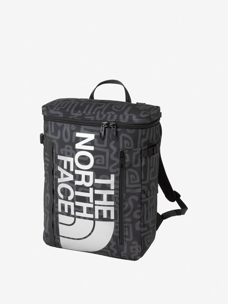 TNF adult backpack series (directly shipped from Japan) and other brands