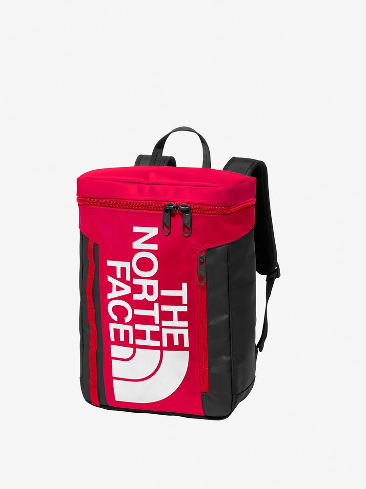 TNF Backpack 21L (Direct from Japan) Kids' Bag Series Other Brands