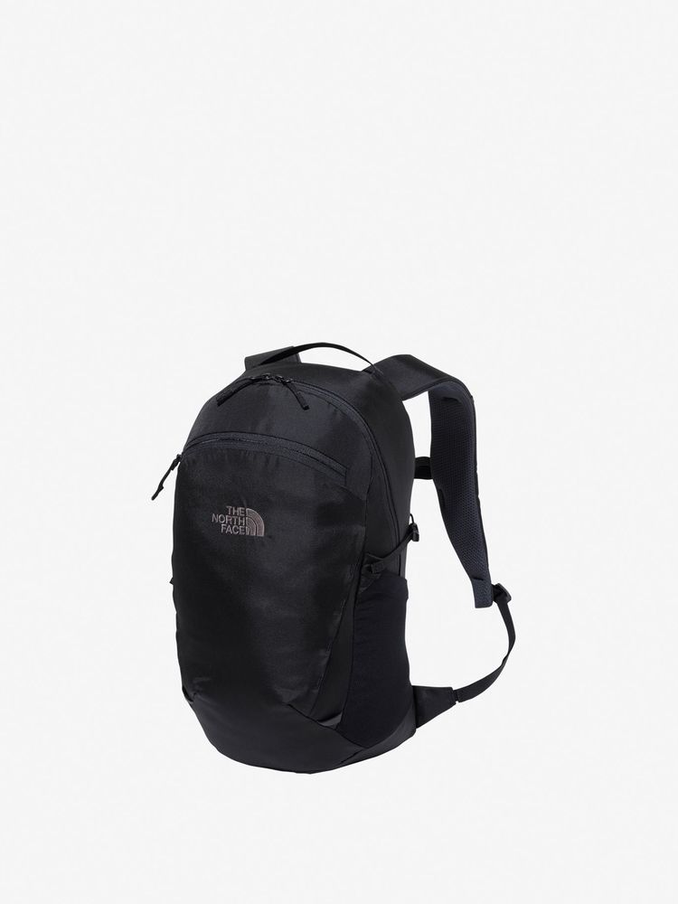 TNF adult backpack series (directly shipped from Japan) and other brands