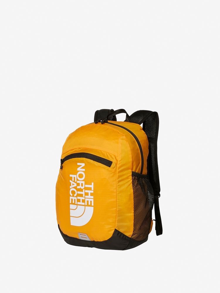 TNF Backpack 15L for Kids (Direct from Japan) Other Brands