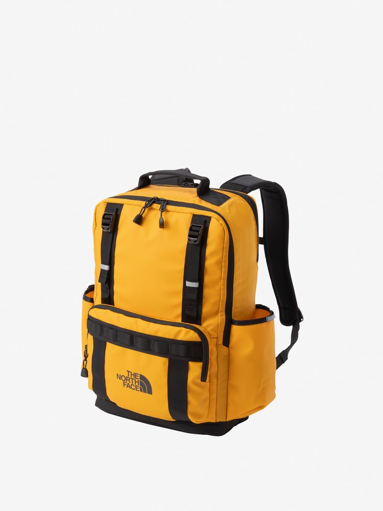 TNF adult backpack series (directly shipped from Japan) and other brands
