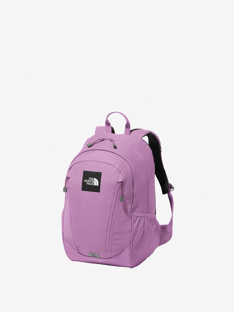 TNF Backpack 22L (Direct from Japan) Kids' Bag Series Other Brands