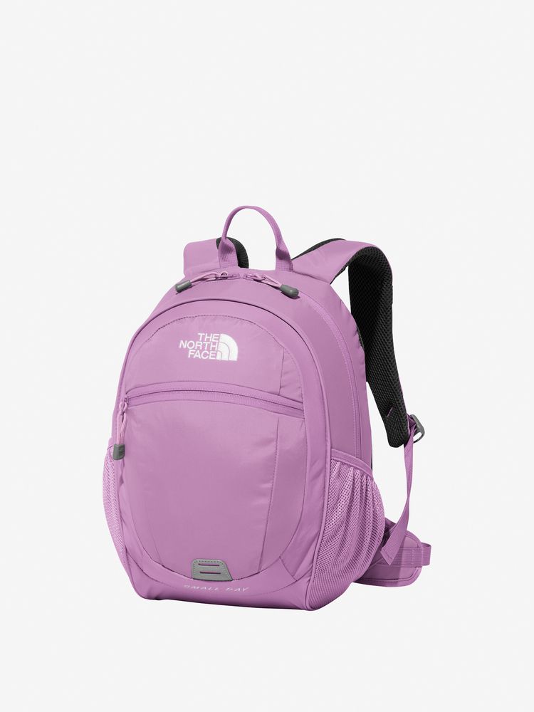 TNF Backpack 15L for Kids (Direct from Japan) Other Brands