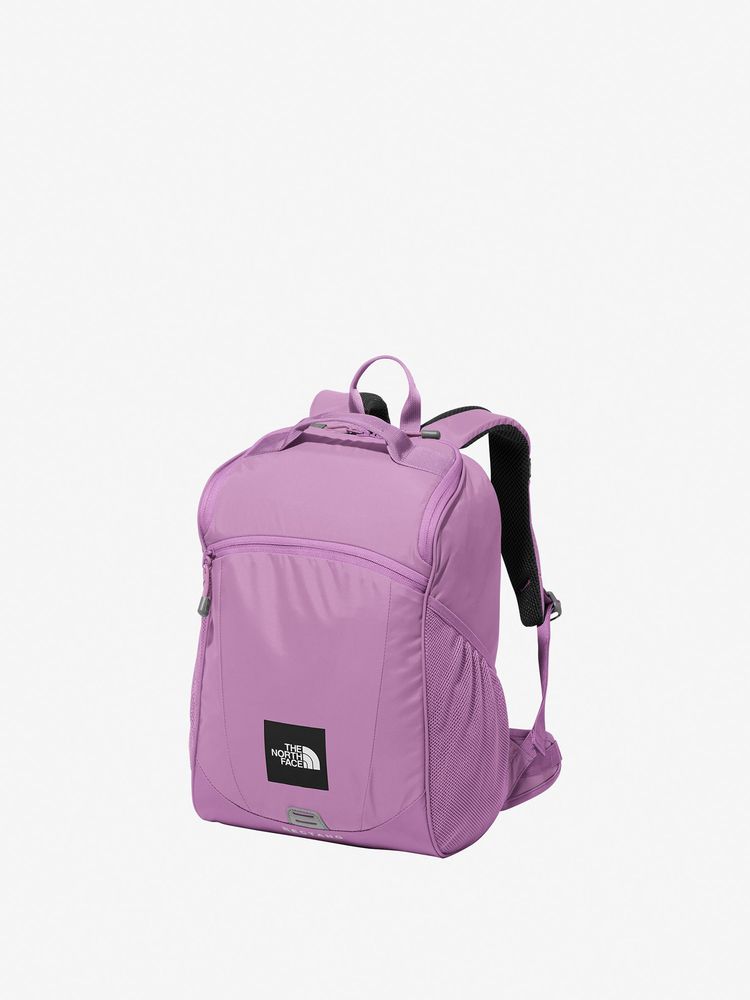 TNF Backpack 17L (Direct from Japan) Kids' Bag Series Other Brands