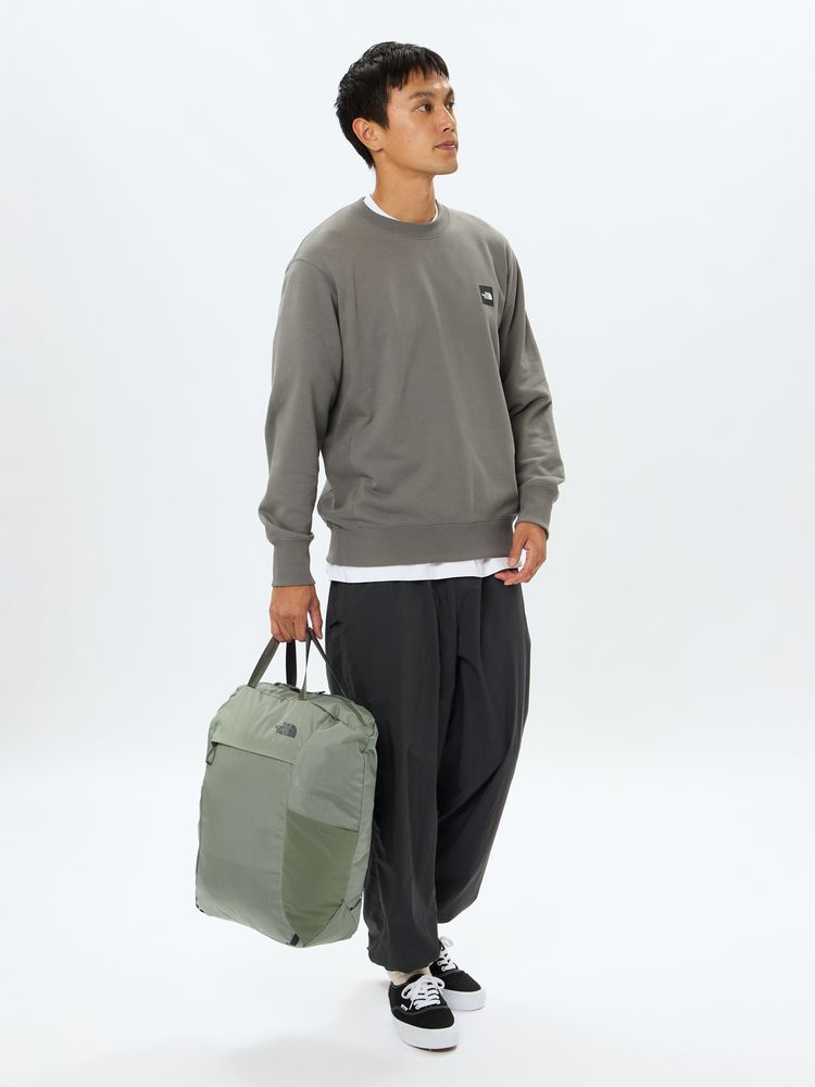 TNF adult backpack series (directly shipped from Japan) and other brands
