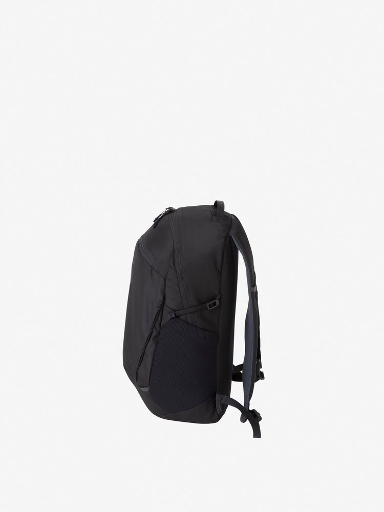 TNF adult backpack series (directly shipped from Japan) and other brands