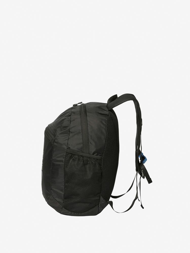 TNF Backpack 15L for Kids (Direct from Japan) Other Brands