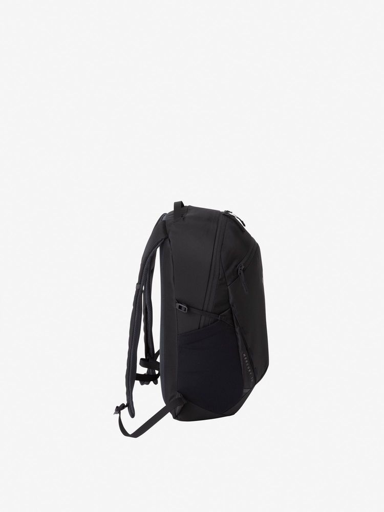 TNF adult backpack series (directly shipped from Japan) and other brands