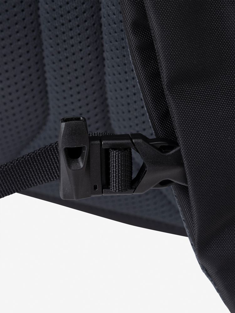 TNF adult backpack series (directly shipped from Japan) and other brands