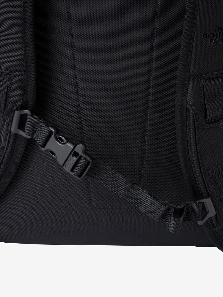 TNF adult backpack series (directly shipped from Japan) and other brands