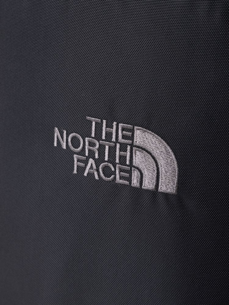 TNF adult backpack series (directly shipped from Japan) and other brands