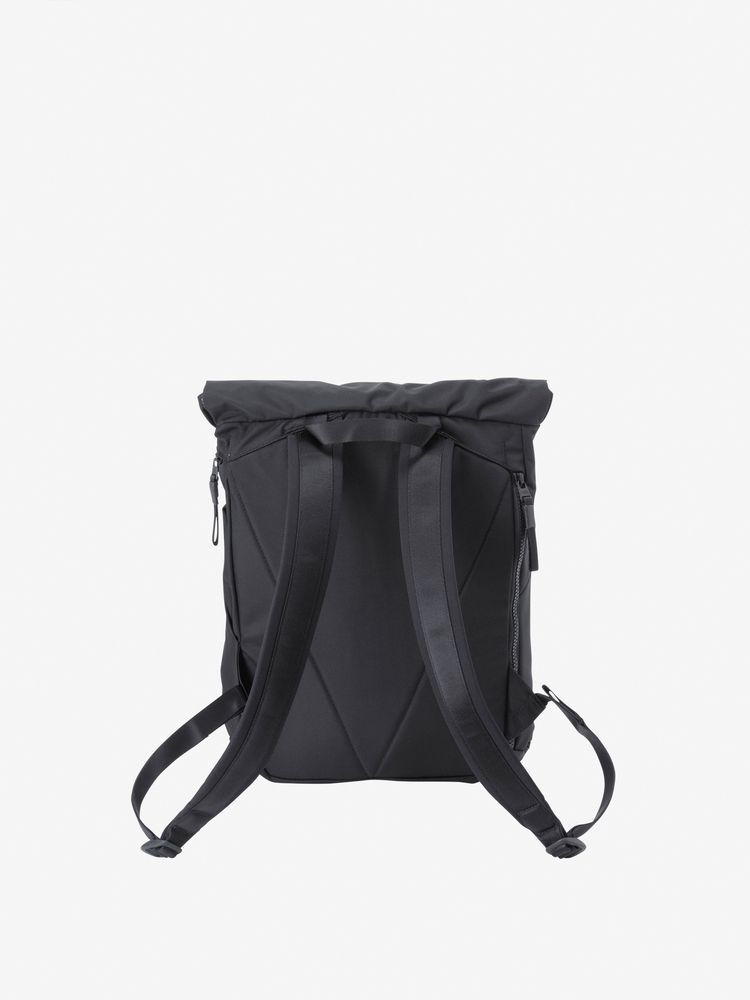 TNF adult backpack series (directly shipped from Japan) and other brands