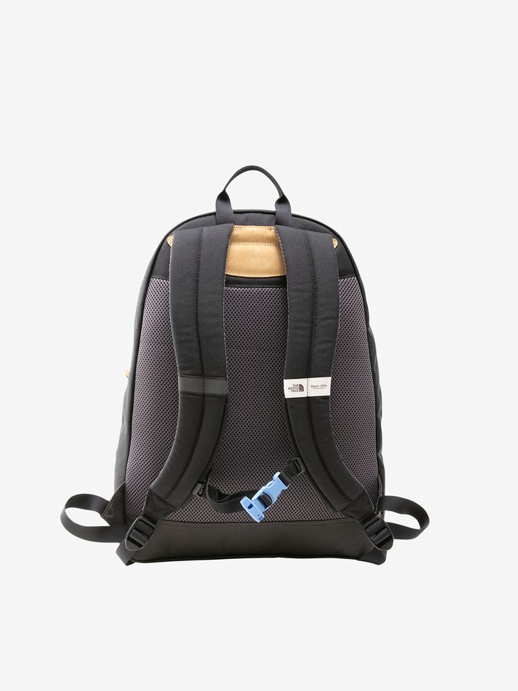 TNF Backpack 19L (Direct from Japan) Kids' Bag Series Other Brands