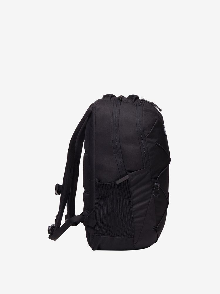 TNF adult backpack series (directly shipped from Japan) and other brands