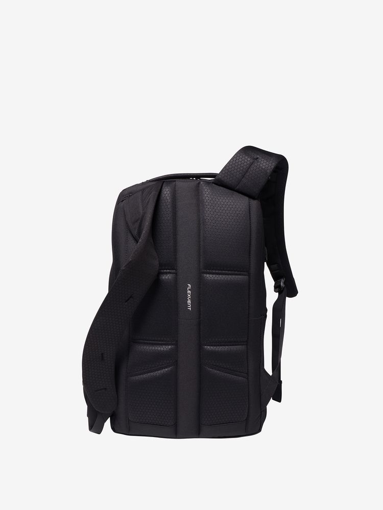 TNF adult backpack series (directly shipped from Japan) and other brands