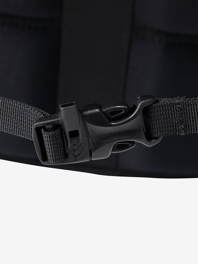 TNF adult backpack series (directly shipped from Japan) and other brands