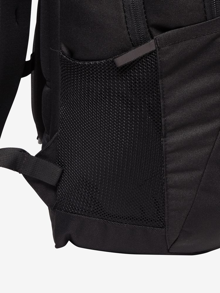 TNF adult backpack series (directly shipped from Japan) and other brands