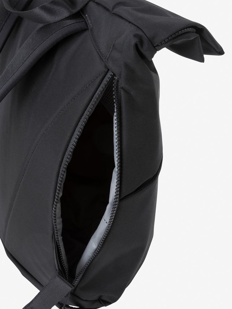 TNF adult backpack series (directly shipped from Japan) and other brands