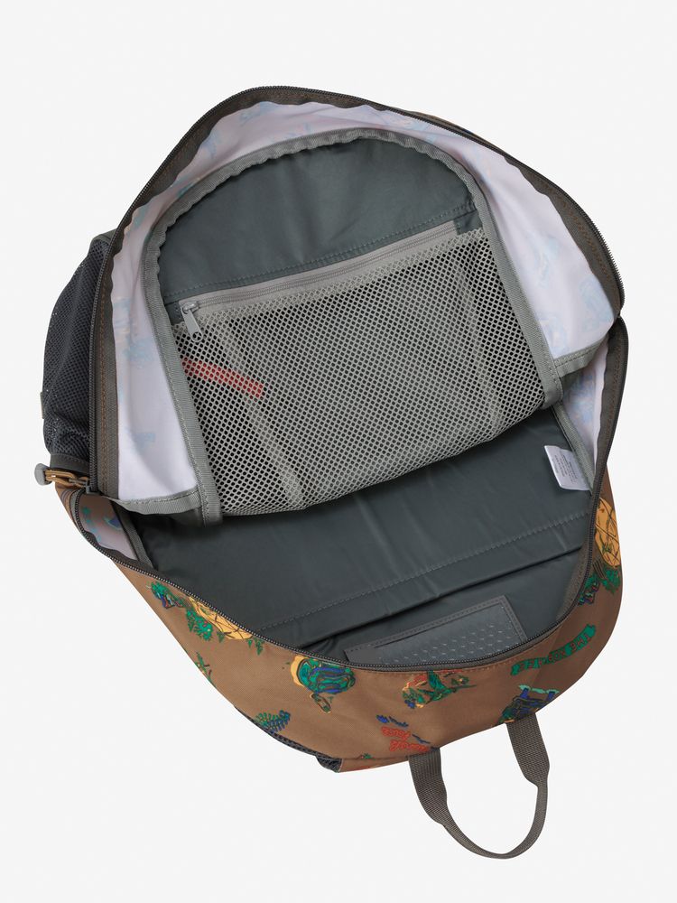 TNF Backpack 22L (Direct from Japan) Kids' Bag Series Other Brands