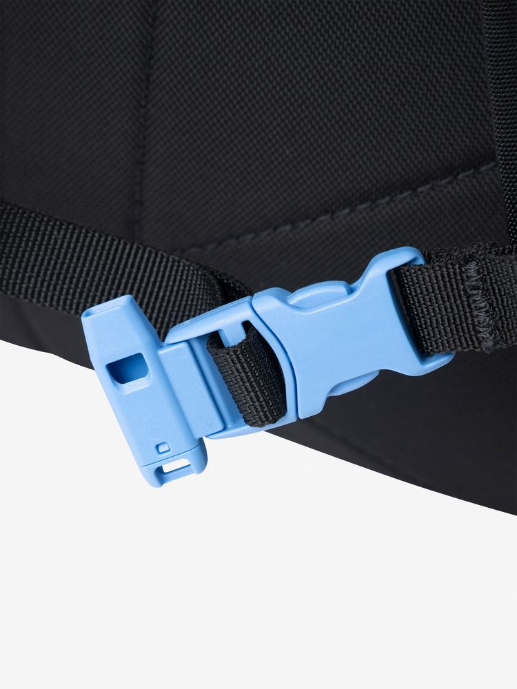 TNF Backpack 21L (Direct from Japan) Kids' Bag Series Other Brands