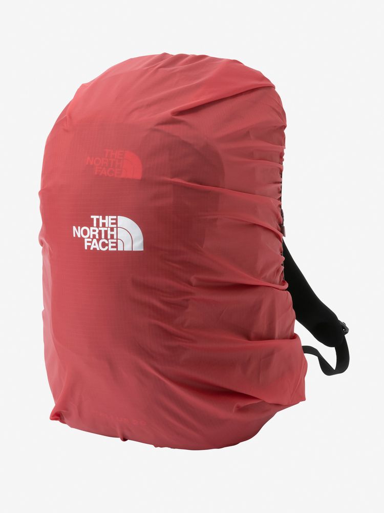 TNF Backpack 20L (Direct from Japan) Kids' Bag Series Other Brands