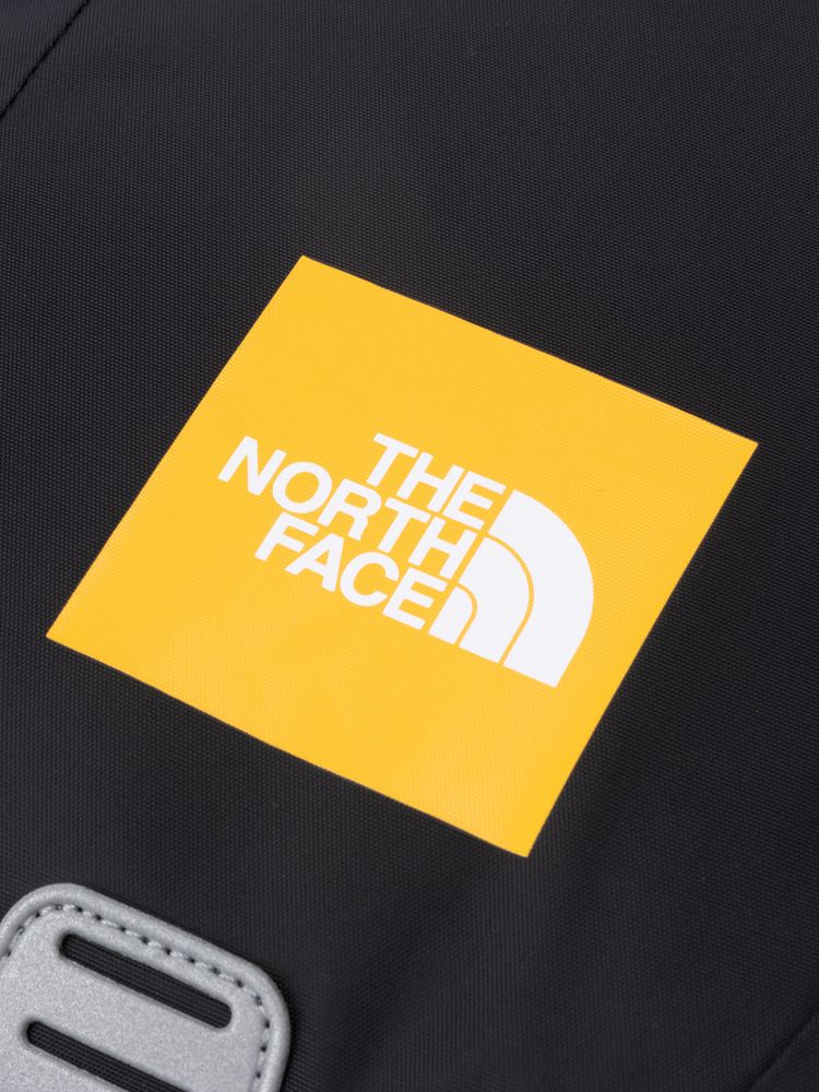 TNF Backpack 17L (Direct from Japan) Kids' Bag Series Other Brands