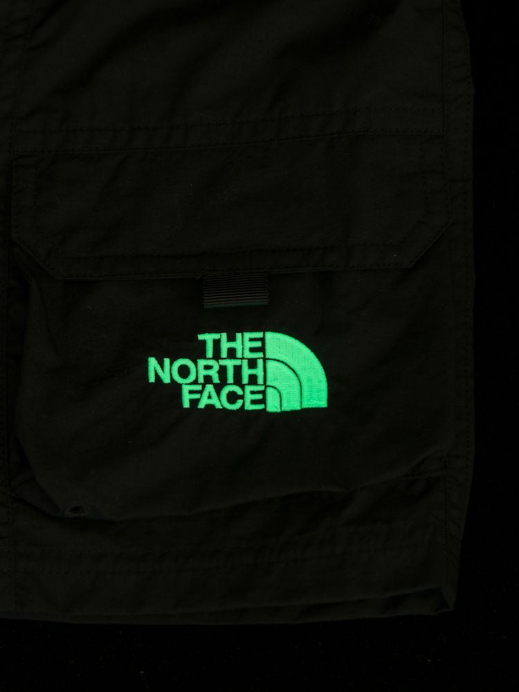 Japanese children's clothing TNF static care sports shorts 100-120cm boys/girls summer PANTS