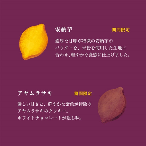 日本直送 Mary's Chocolate 秋之紅薯曲奇禮盒 8/14枚入 中秋節/萬聖節 限定手信