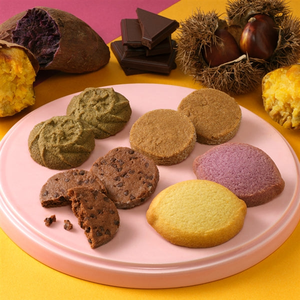 日本直送 Mary's Chocolate 秋之紅薯曲奇禮盒 8/14枚入 中秋節/萬聖節 限定手信