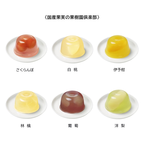 日本直送 Mary's Chocolate 日本國產果園俱樂部 6/8個入 中秋節/萬聖節 限定手信