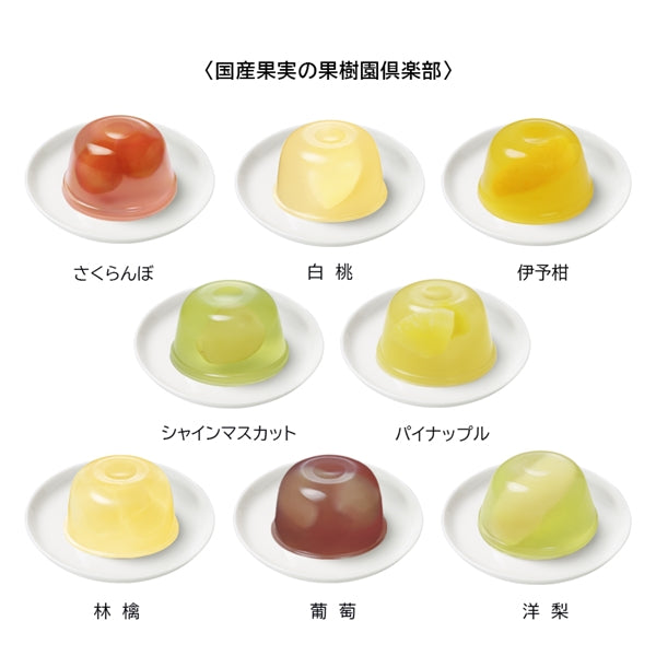 日本直送 Mary's Chocolate 日本國產果園俱樂部 6/8個入 中秋節/萬聖節 限定手信