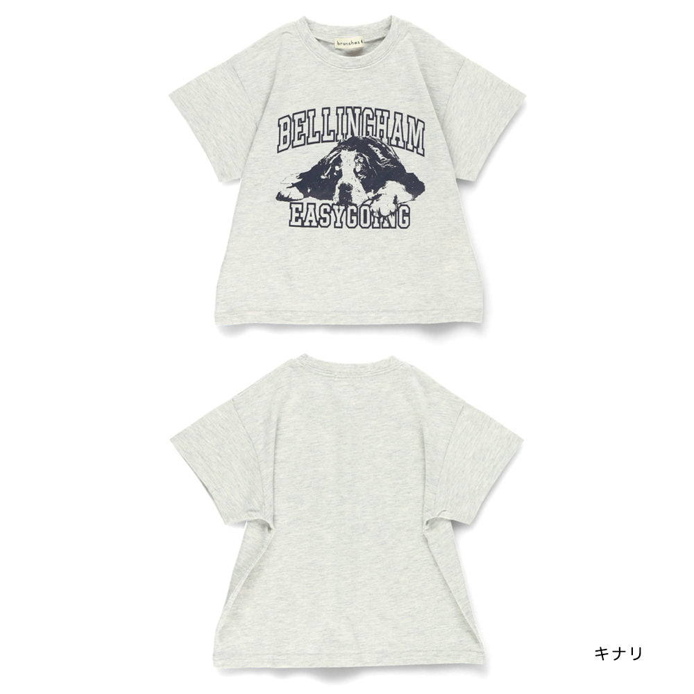 Japanese children's clothing Branches printed tops 80-150cm boys' summer TOPS