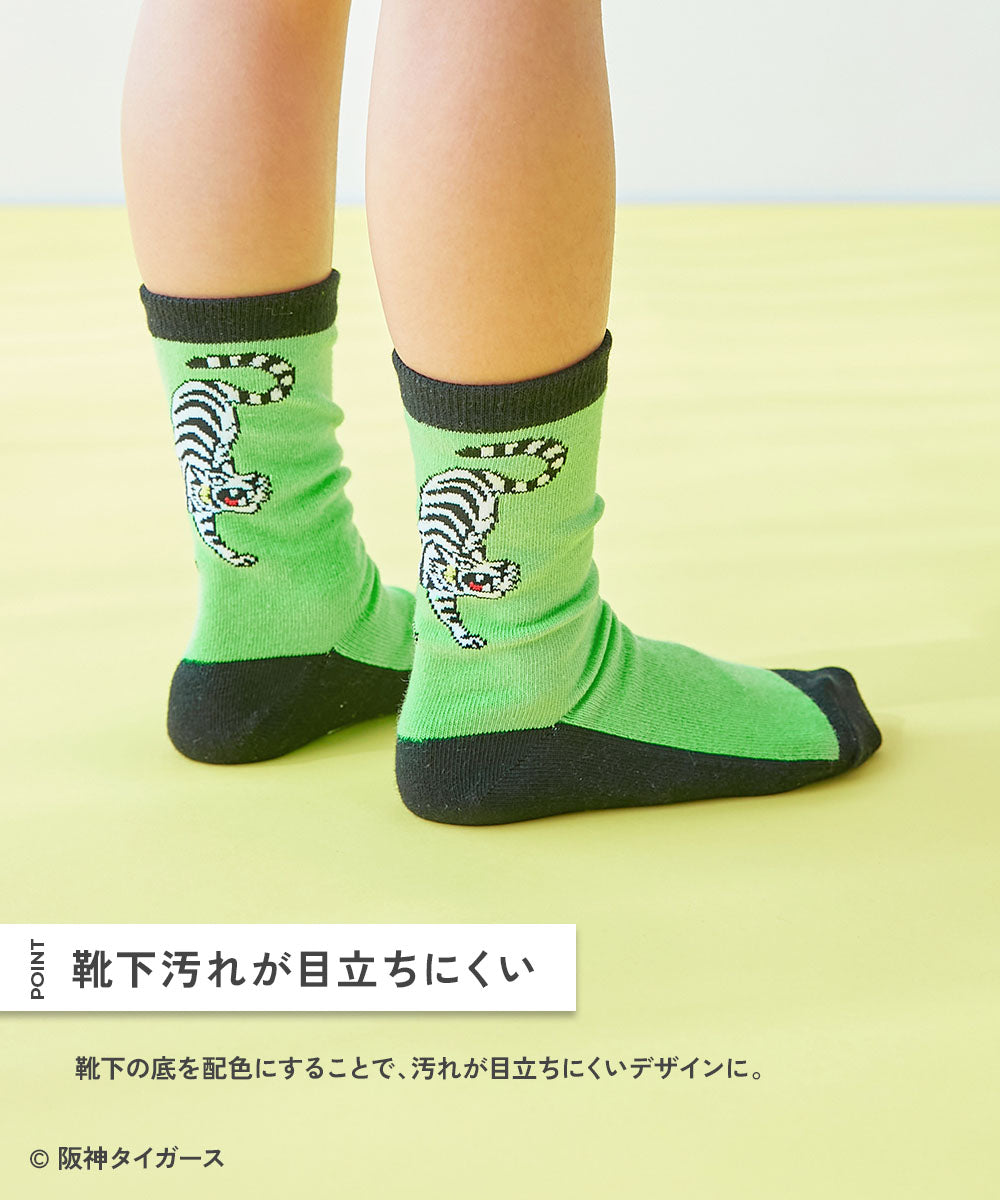 Dev! Rock x Hanshin Tigers Socks (2 pairs, 16-24cm) Socks, Direct from Japan