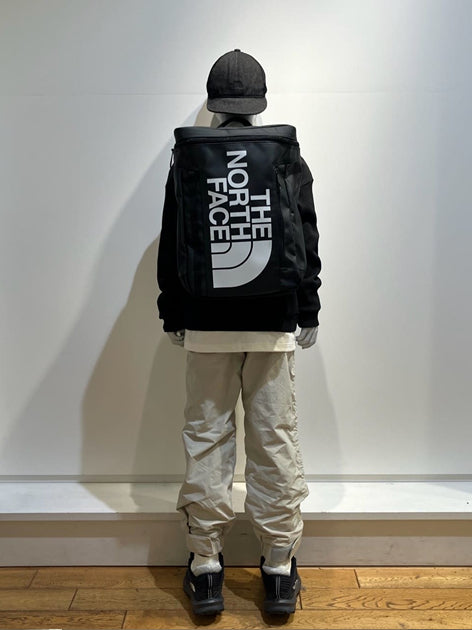 TNF Backpack 21L (Direct from Japan) Kids' Bag Series Other Brands