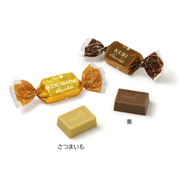 日本直送 Mary's Chocolate 朱古力小禮包 中秋節/萬聖節 限定手信