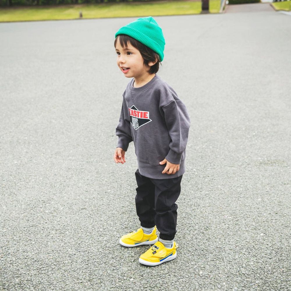 IFME x Train Shinkansen Health Functional Children's Shoes (12-15cm) Direct from Japan Boys' Shoe Series
