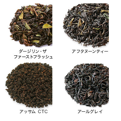 日本直送 Lupicia 茶包套裝 15種(冬季限定包裝) 新年行運發財特輯 Happy New Year 馬年 限定手信