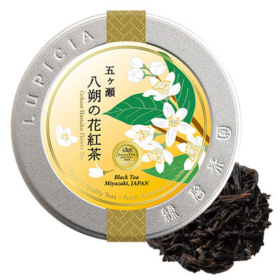 日本直送 Lupicia 淑雅禮盒 新年行運發財特輯 Happy New Year 馬年 限定手信