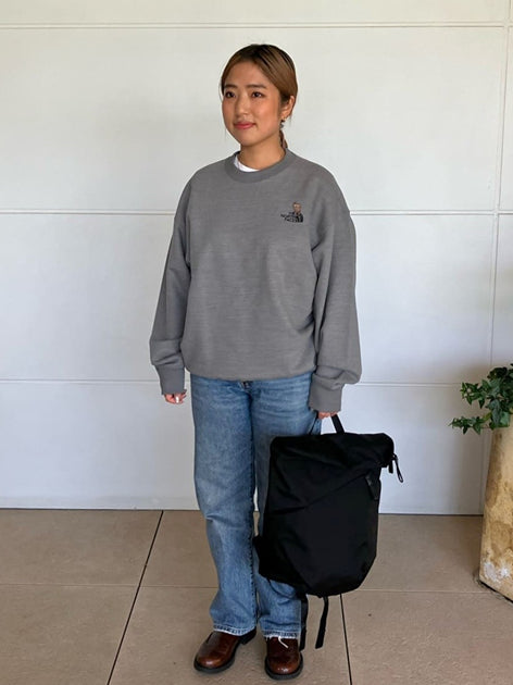 TNF adult backpack series (directly shipped from Japan) and other brands