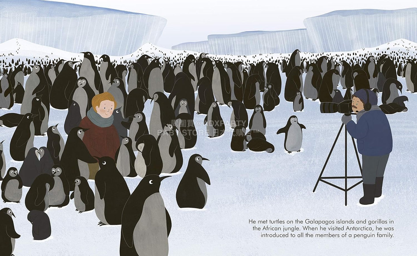 英美直送 Little People, BIG DREAMS Book Collection 聖誕倒數日曆 兒童款 聖誕快樂特輯 聖誕倒數日曆A 不參與$900免運 滿$900可加$25免運 Christmas Advent Calendars 2025