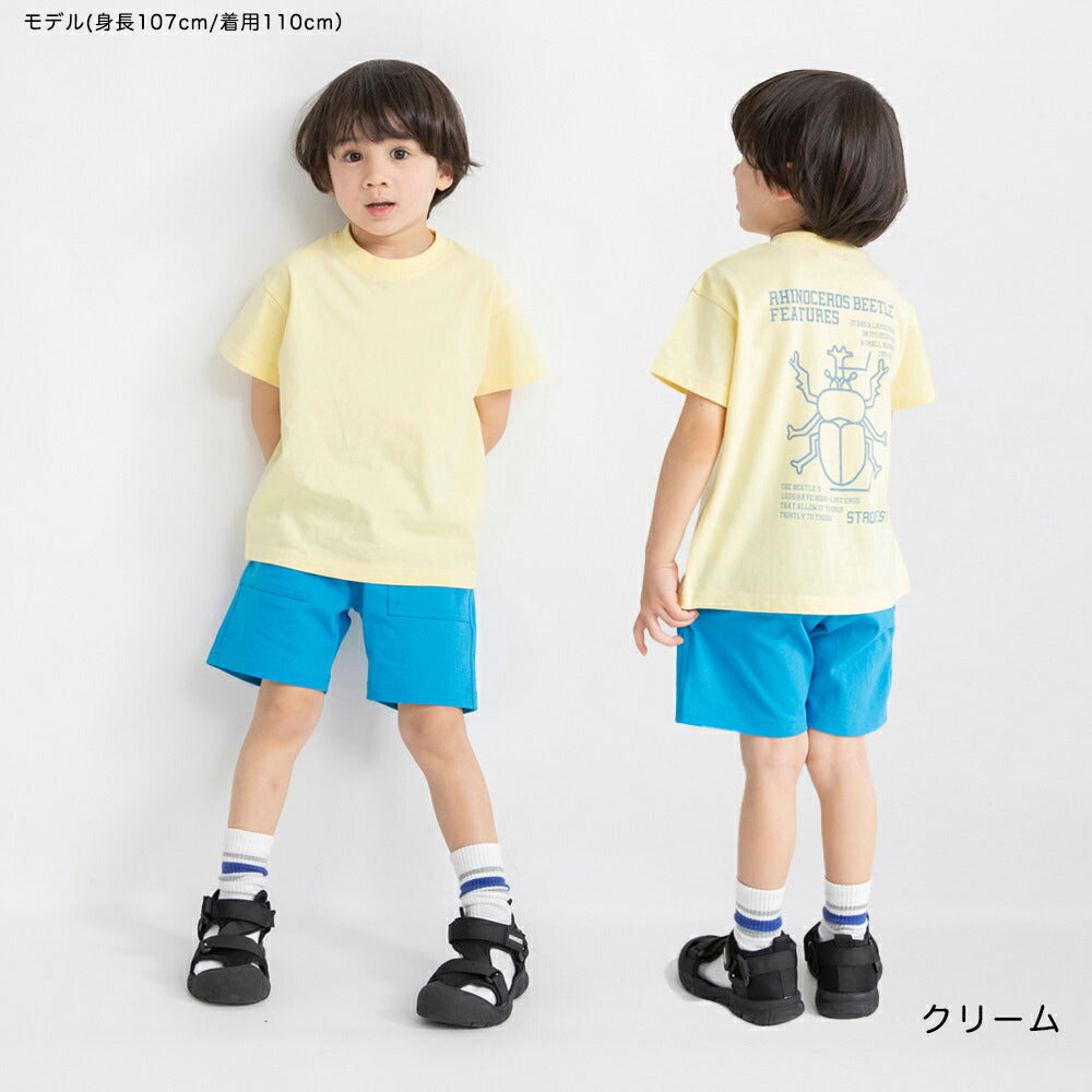 日本童裝 Branshes 印花短袖上衣 80-150cm 男童款 夏季 TOPS