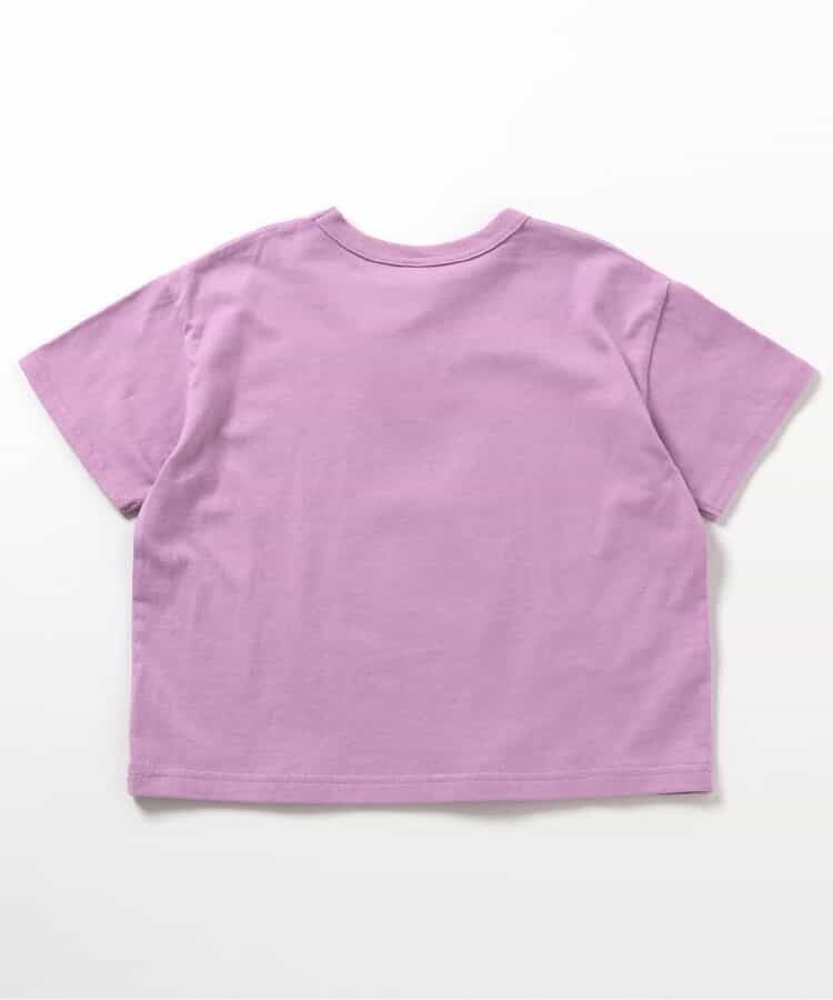 Japanese children's clothing BREEZE printed short-sleeved top 80-150cm boys' summer TOPS