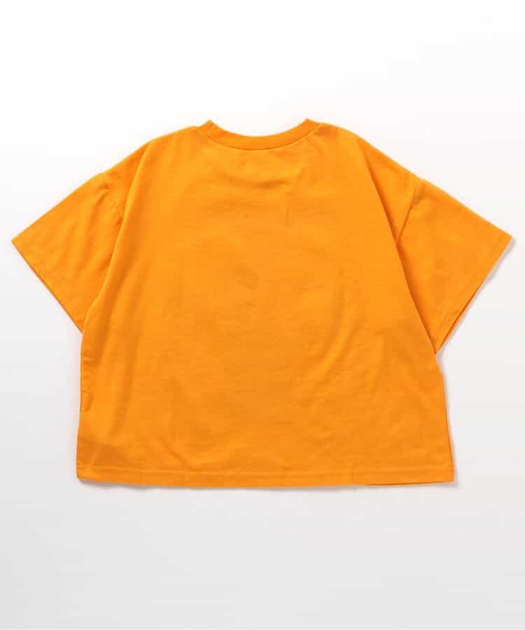 Japanese children's clothing BREEZE printed short-sleeved top 90-160cm boys' summer TOPS