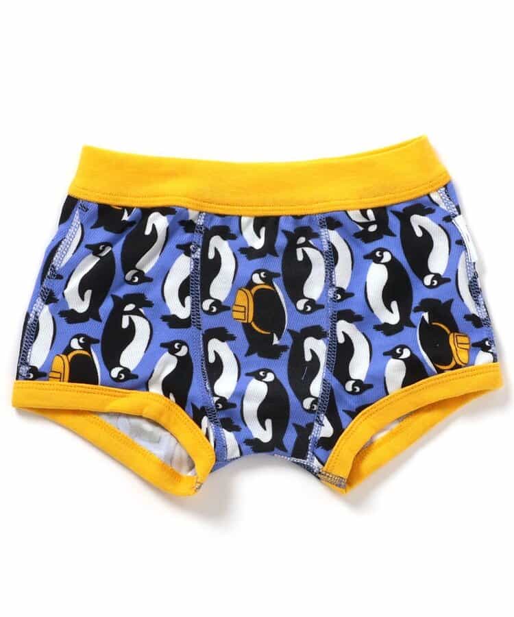BR#22EE Underwear (100-150cm) Direct from Japan Boys' Underwear Series