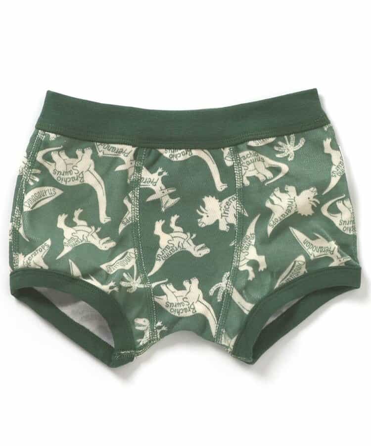 BR#22EE Underwear (100-150cm) Direct from Japan Boys' Underwear Series