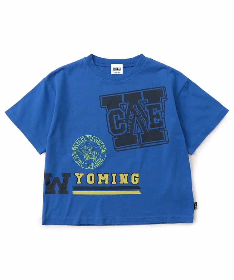Japanese children's clothing BREEZE printed short-sleeved top 80-160cm boys' summer TOPS