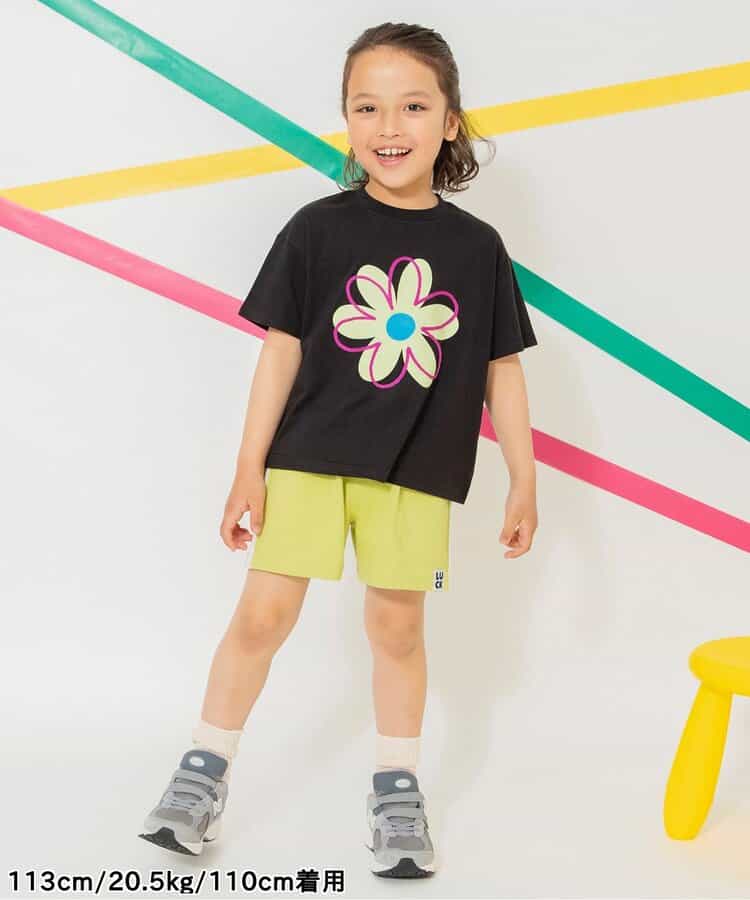 Japanese children's clothing BREEZE casual shorts 80-140cm boys' summer PANTS